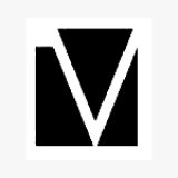 Vivid Learning Systems